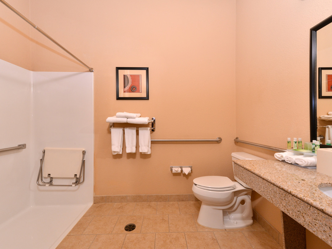 Holiday Inn Express & Suites Van Buren-Ft Smith Area by IHG主图