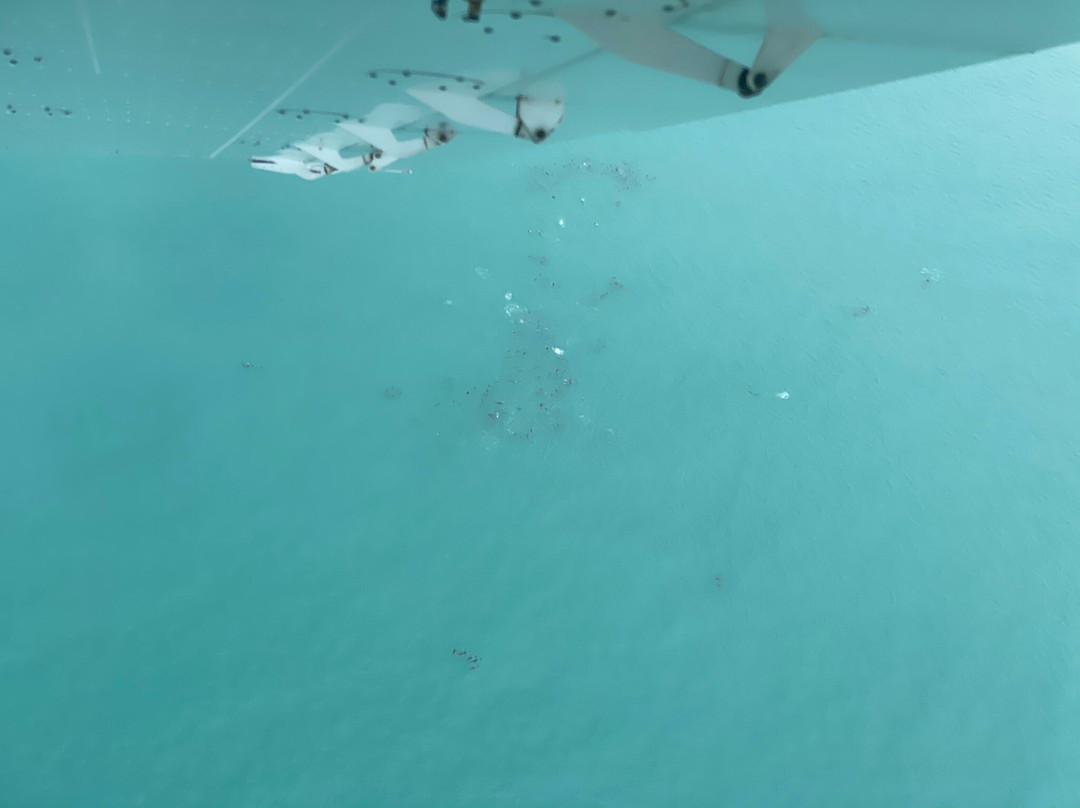 Air Kaikoura Aero Club-Kaikoura必去景点