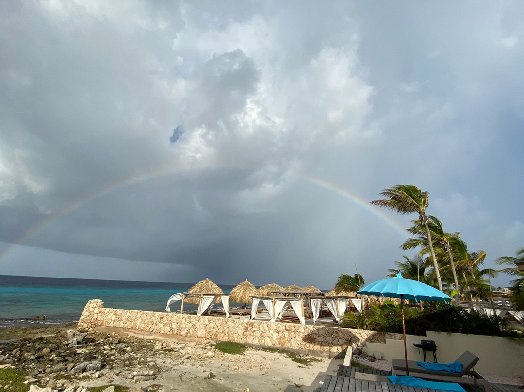 Ocean Oasis Beach Club-Kralendijk必去景点