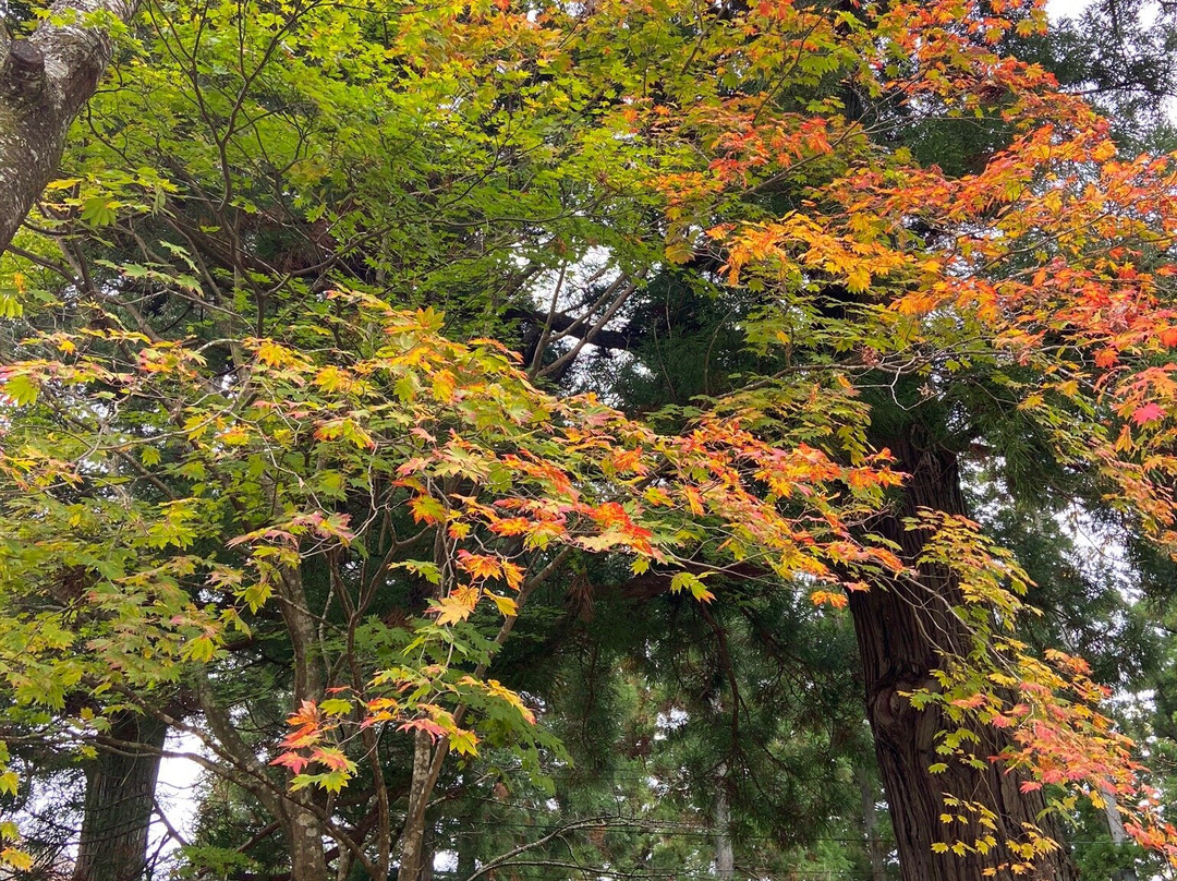 Akiu Fall-仙台市必去景点