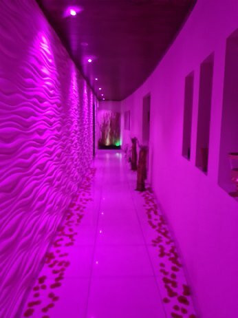 Davine Beauty and Spa-贝鲁特必去景点