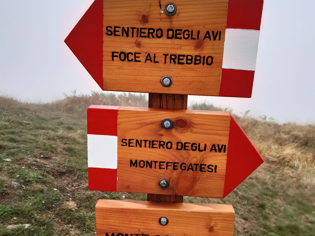 Montefegatesi旅游攻略图片