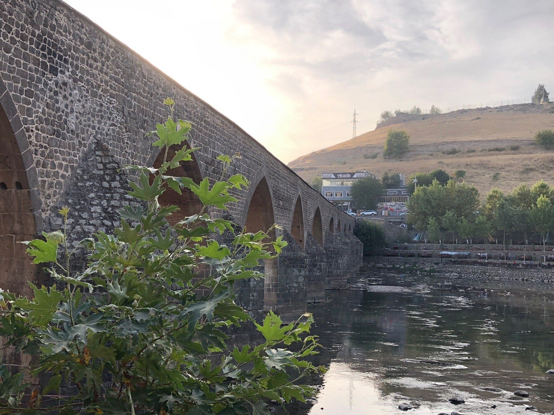 Hasankeyf Eski Köprü-Diyarbakir必去景点