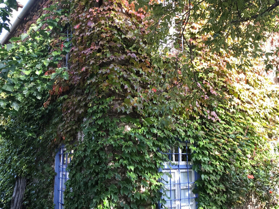 Saxonis Houses主图