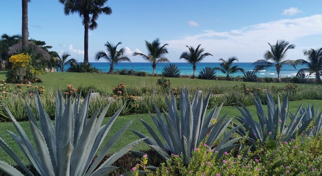 Hotel Restaurante El Quemaito主图