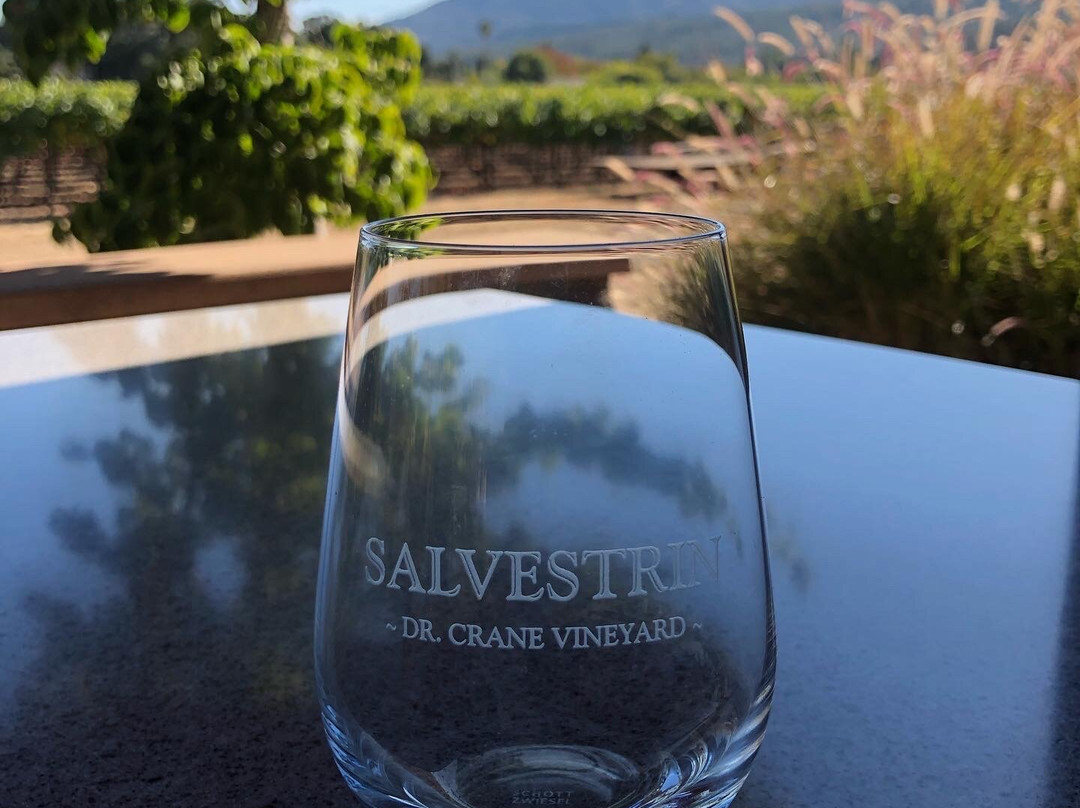Salvestrin Winery景点图片