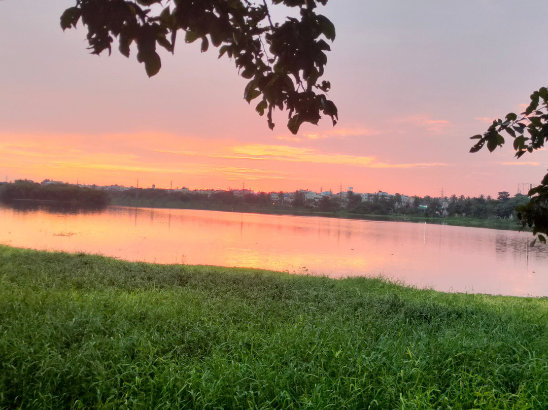 Agara Lake景点图片