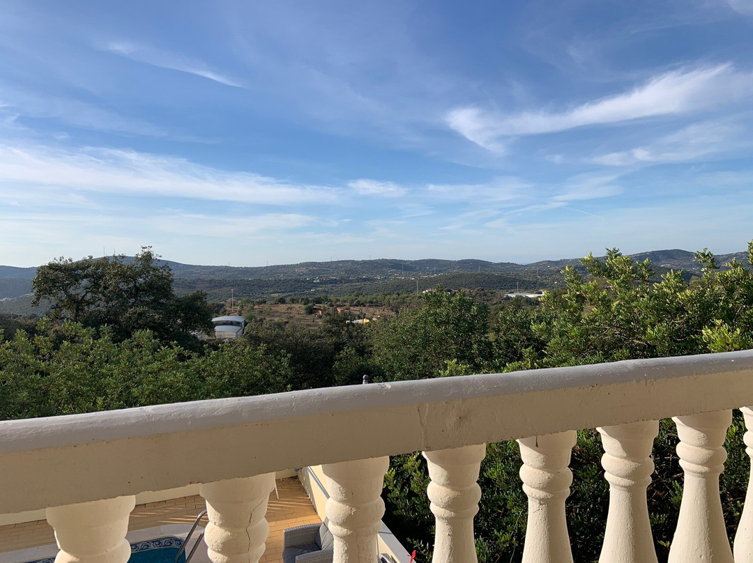 Panoramic Paradise主图