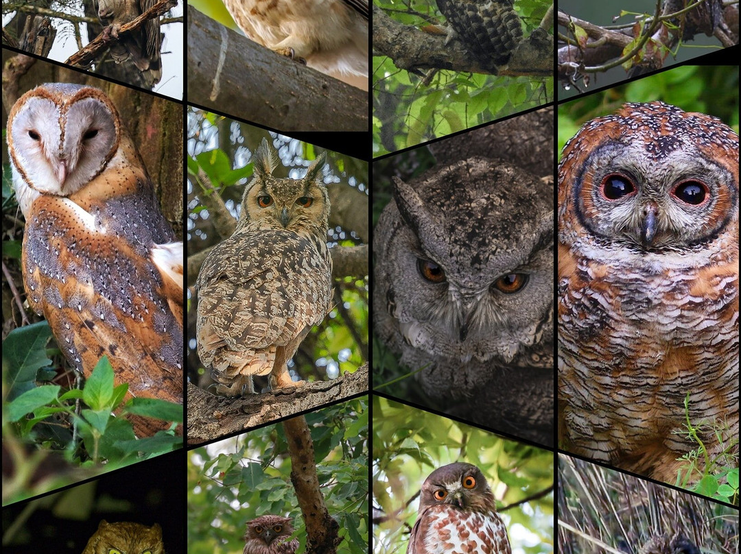 Dudhwa Fun Resort主图