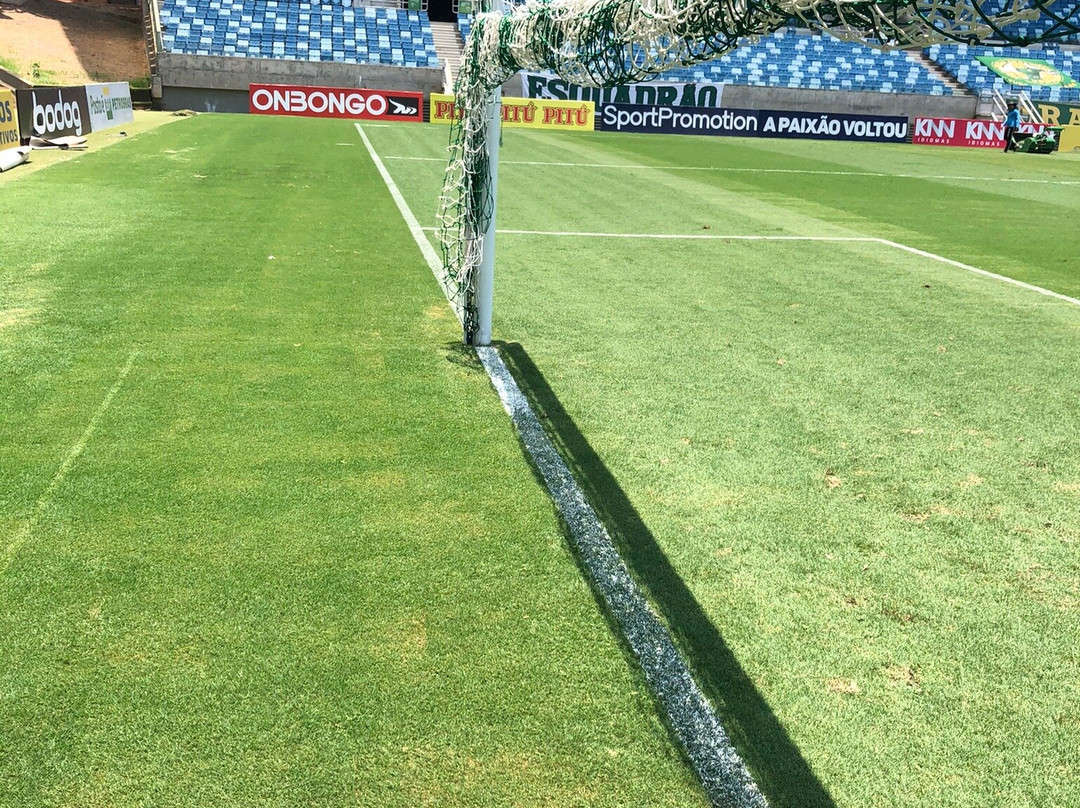 Arena Pantanal (Verdão)景点图片
