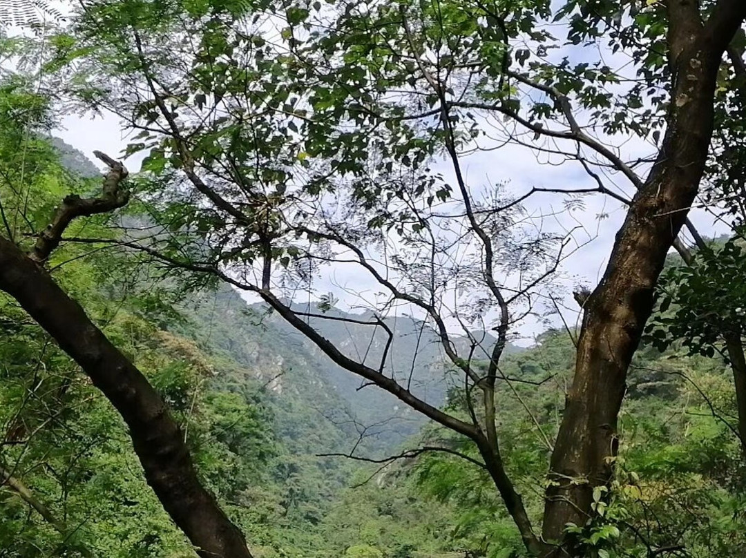 清远太和古洞-清新县必去景点