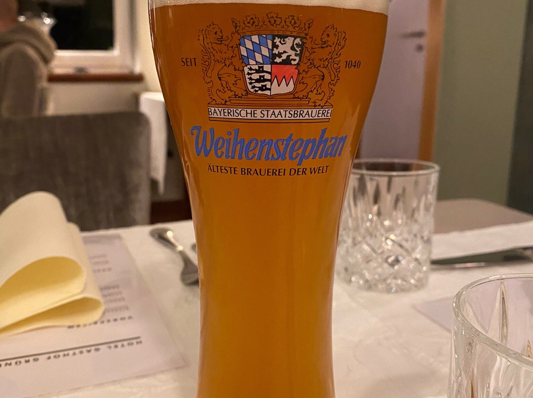 Hotel Gasthof Grüner Wald主图