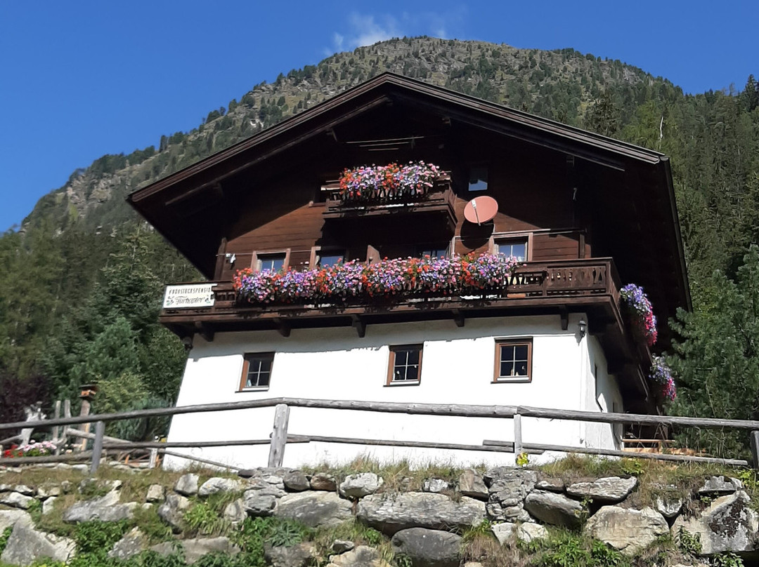 Pension Furhapter主图