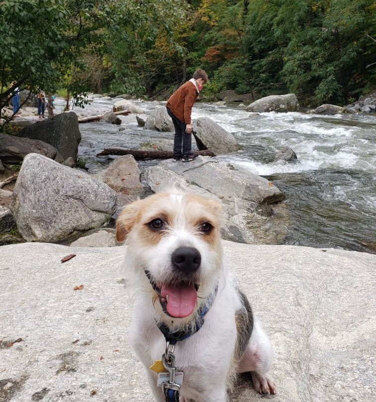 Rocky Broad Riverwalk景点图片