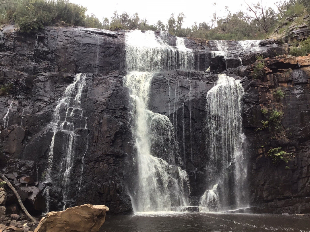 McKenzies Falls-哈密尔顿必去景点