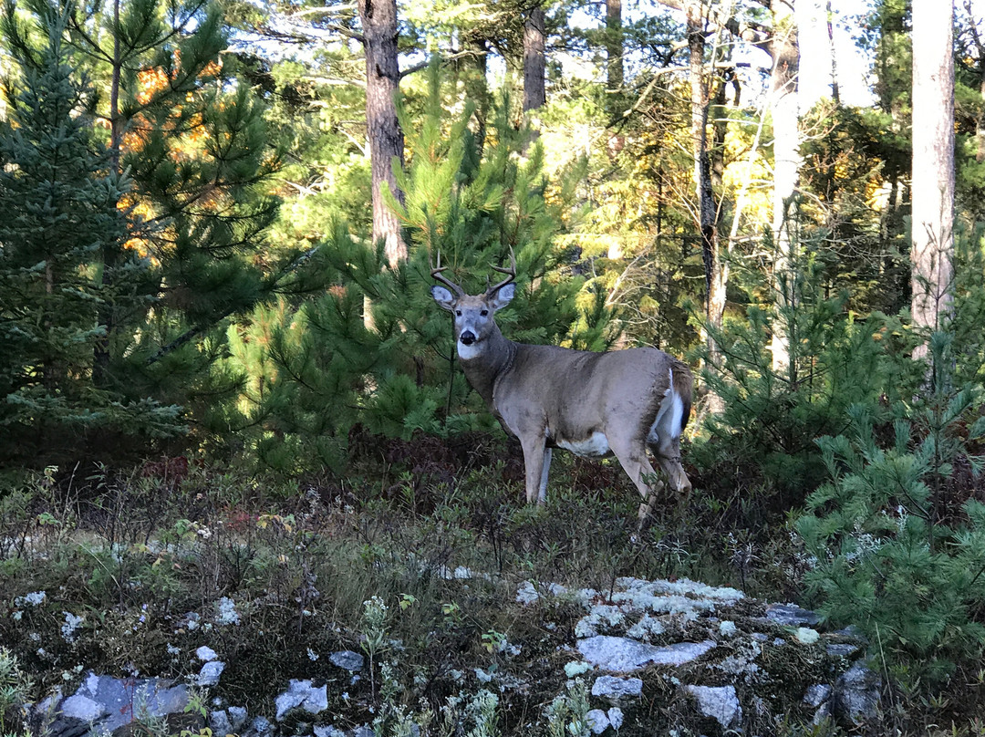 Ash River Visitor Center-Voyageurs National Park必去景点