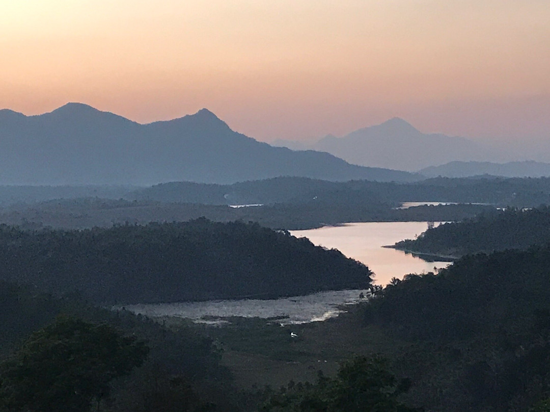 Wayanad Nature Tours景点图片