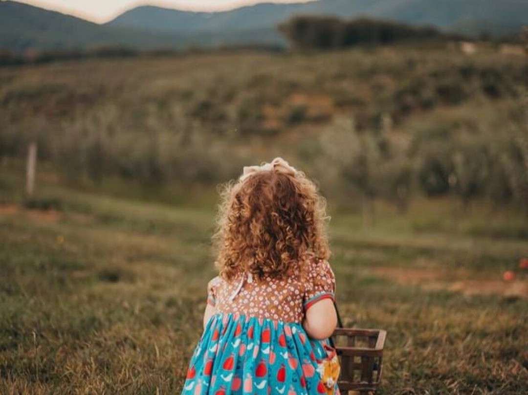 R & A Orchards-Ellijay必去景点