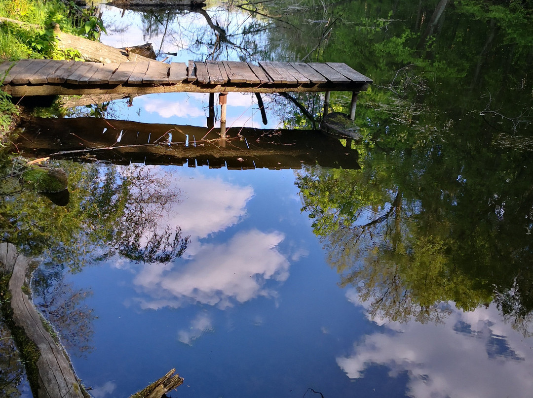 Neskuchnoye Landscape Park-Trostyanets必去景点