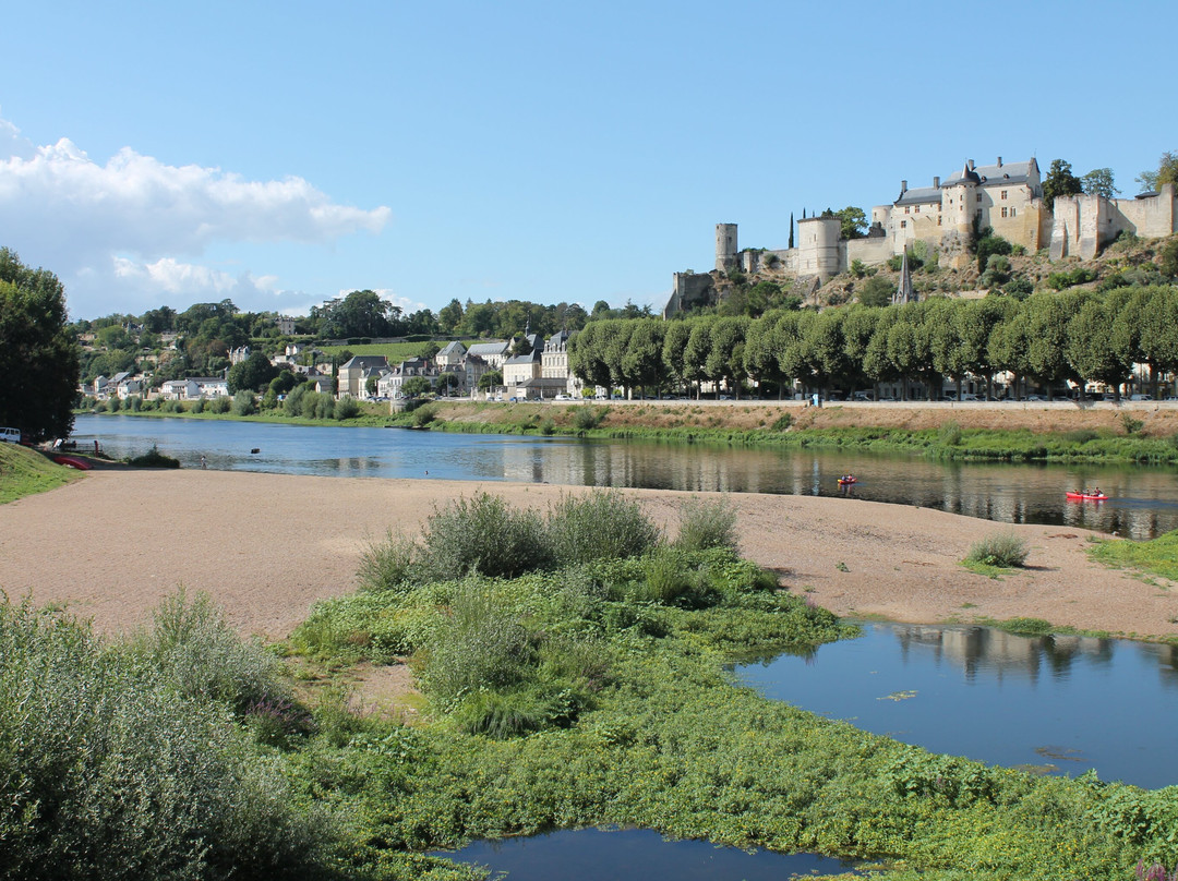 Pont De Chinon-希农必去景点