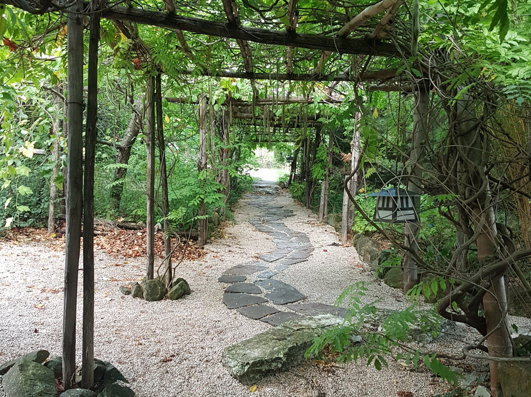 Bio-Ryokan Wabisabi主图