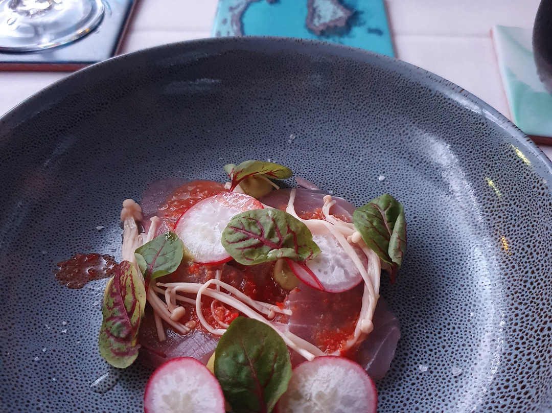 Elysian  Retreat主图