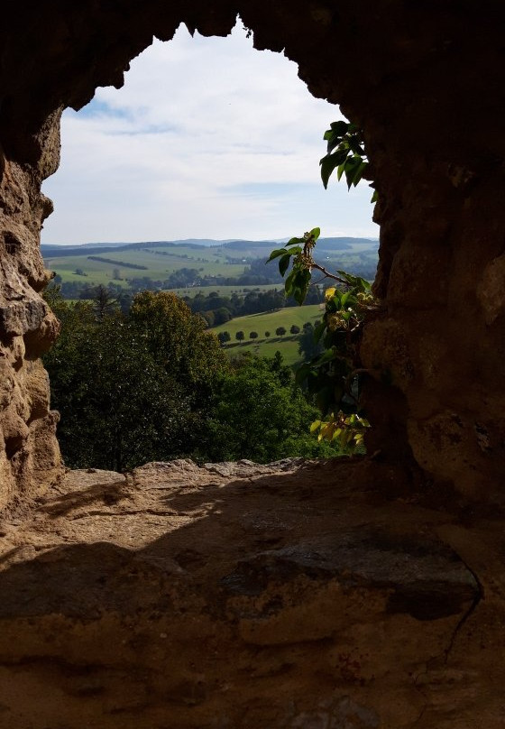 Burgruine Frauenstein景点图片