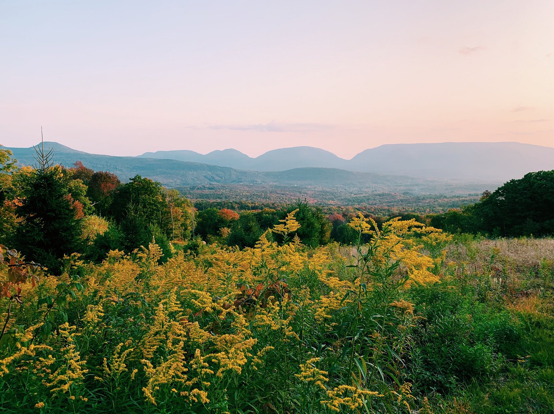 Deer Mountain Inn主图