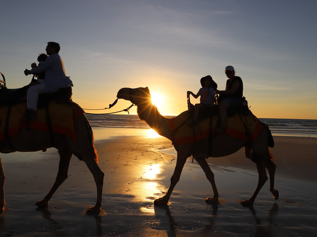 Cable Beach Camel Tours景点图片