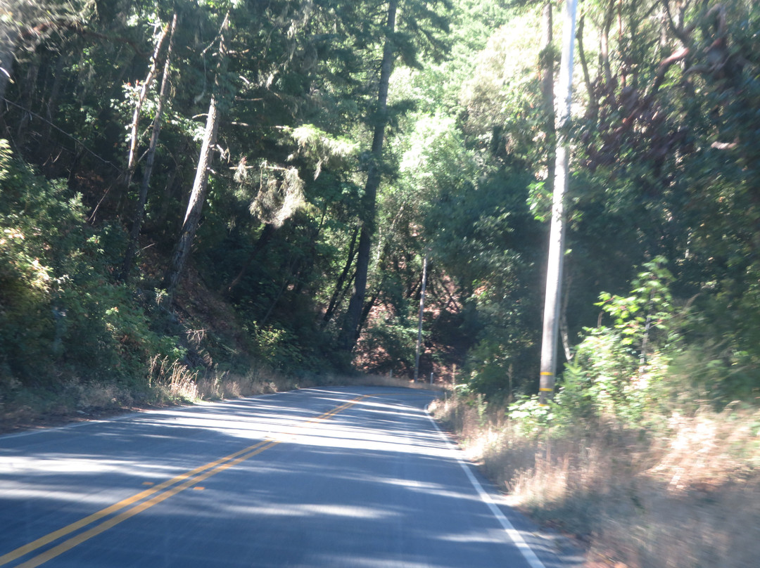 Skyline Ridge Preserve-La Honda必去景点