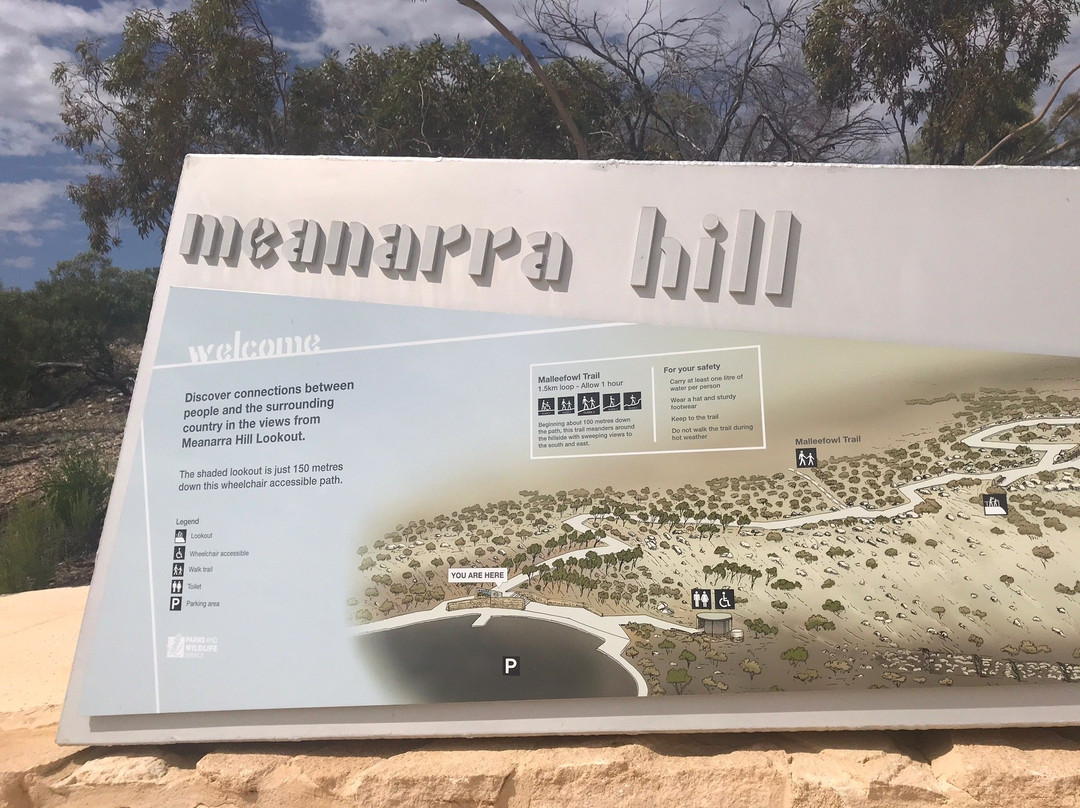 Meanarra Hill Lookout景点图片