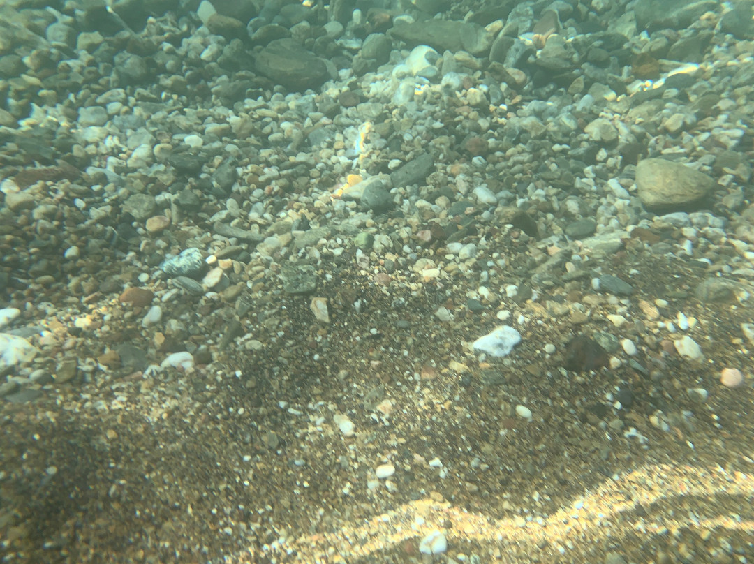 Spiaggia dell'Innamorata景点图片