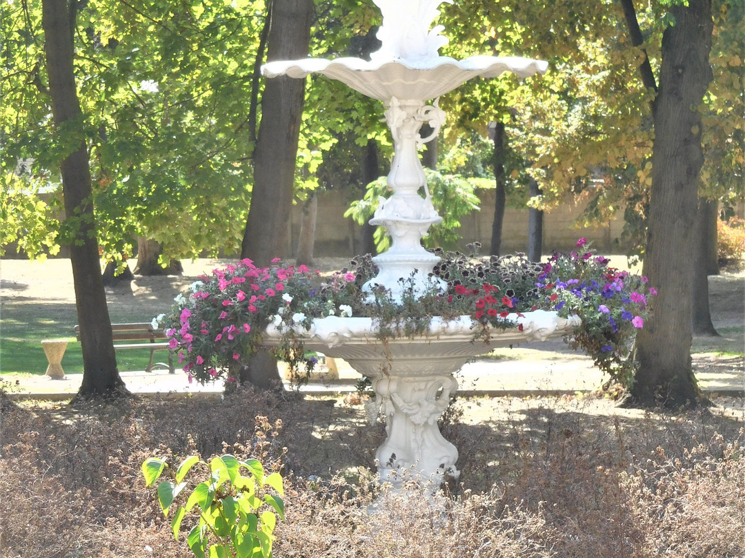 Parc de la mairie景点图片