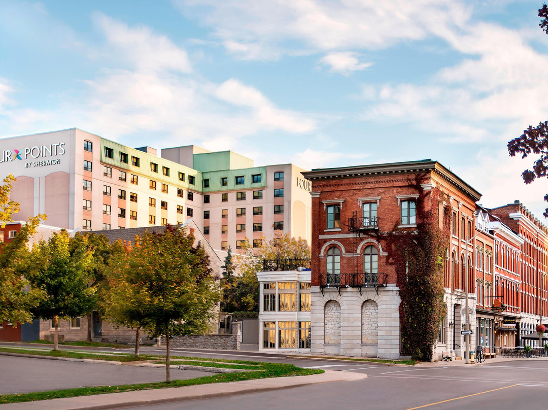 金斯顿福朋喜来登酒店主图