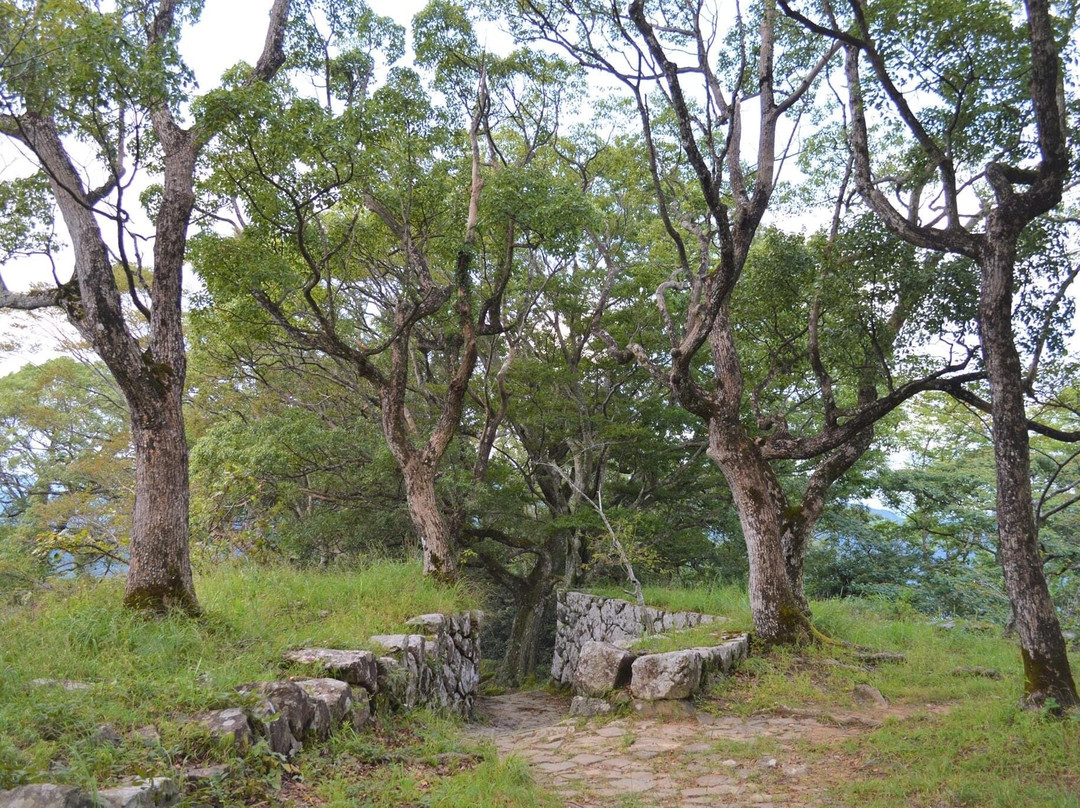 Mt. Shiroyama-佐伯市必去景点