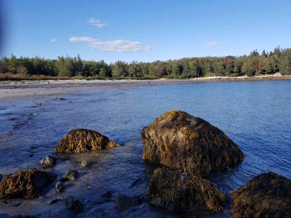 Birch Point Beach State Park-Owls Head必去景点