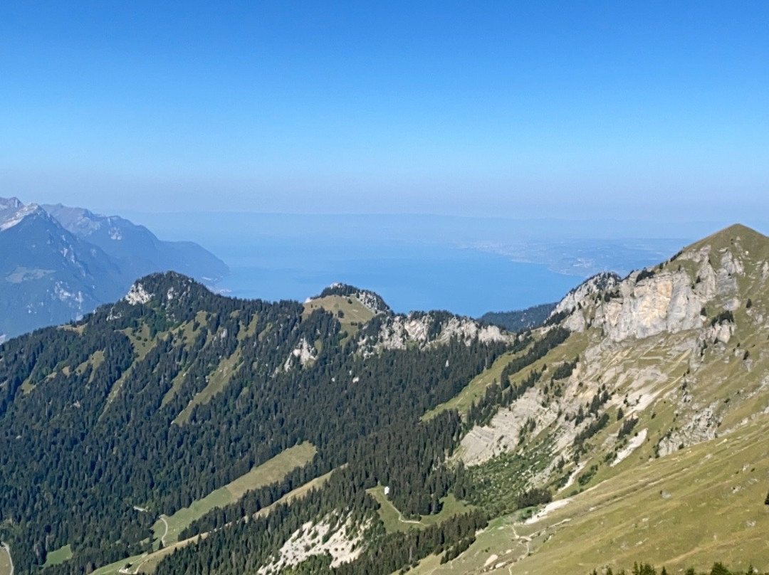 Télécabine Leysin - La Berneuse-莱森必去景点