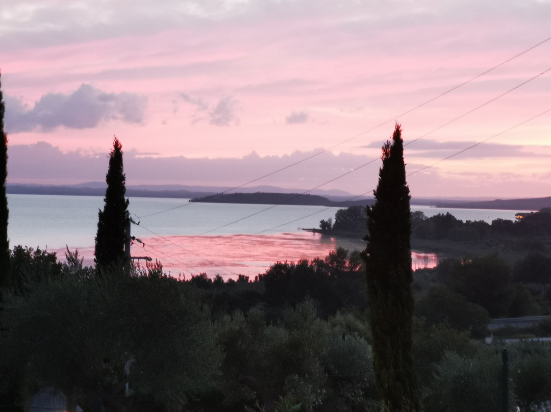 Hotel Il Gabbiano主图