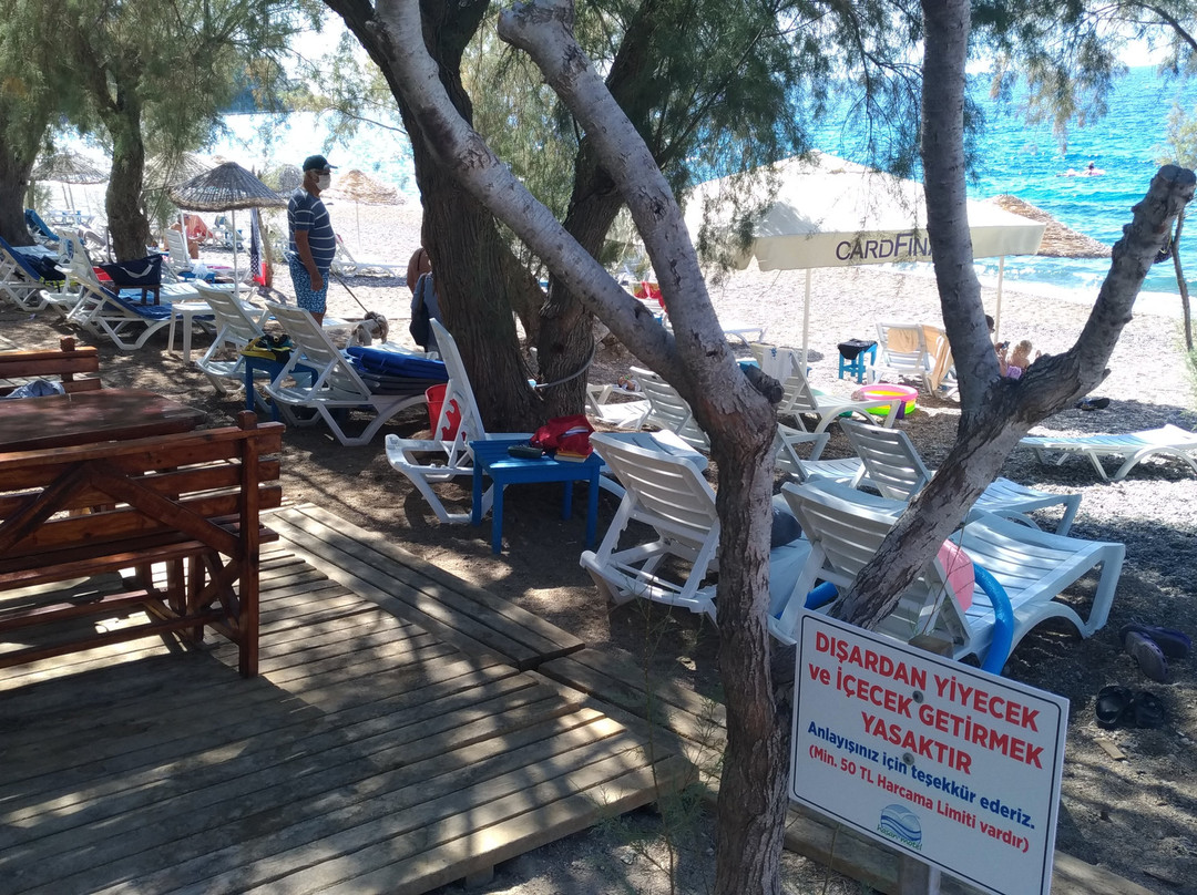 Yaliciftlik Beach景点图片