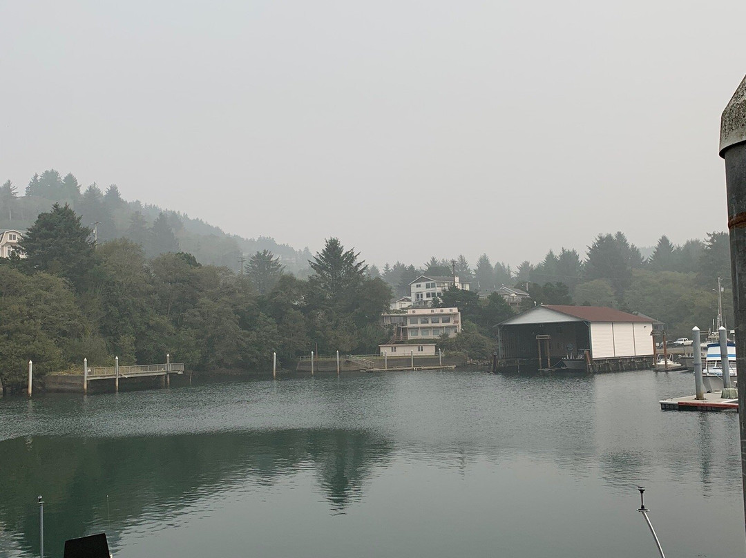 Whale Research EcoExcursions-Depoe Bay必去景点