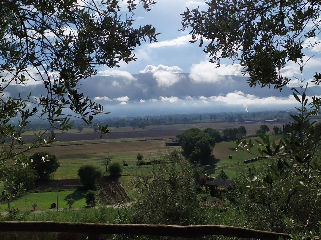 Agriturismo i Mille Ulivi主图