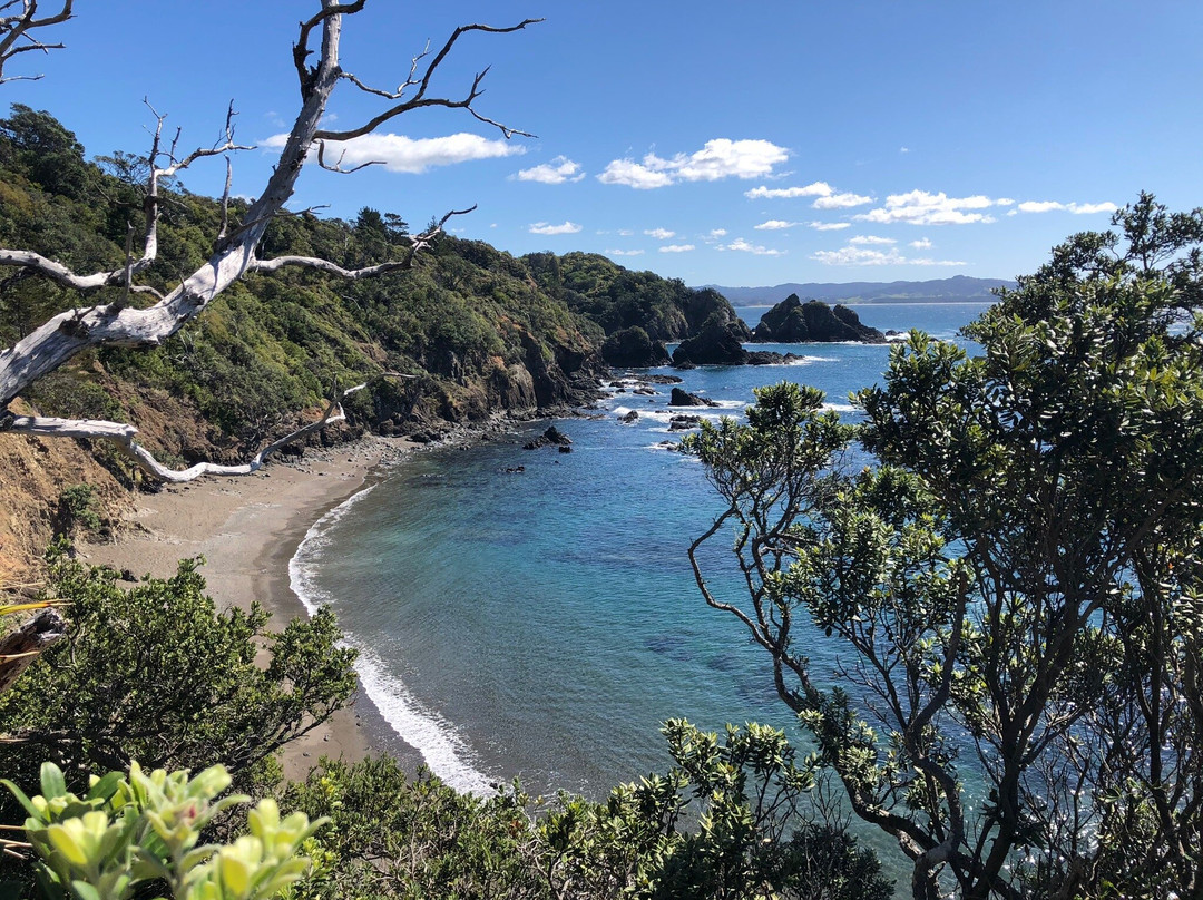 Matapouri Bay景点图片