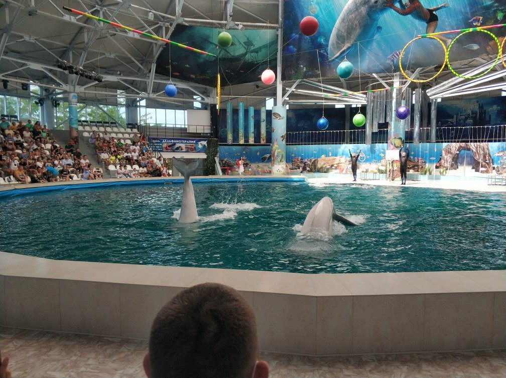 Yevpatoriya Dolphinarium景点图片