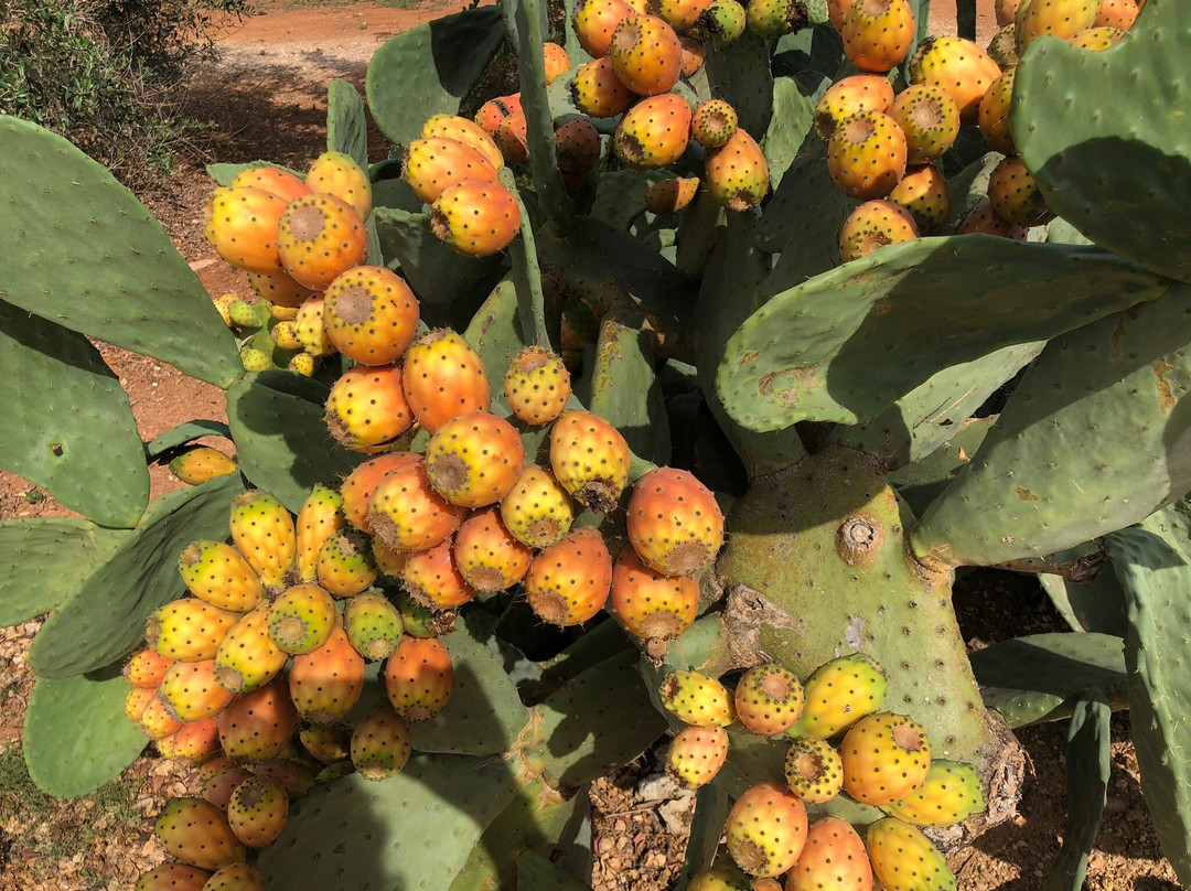 I Mulicchi Hotel主图