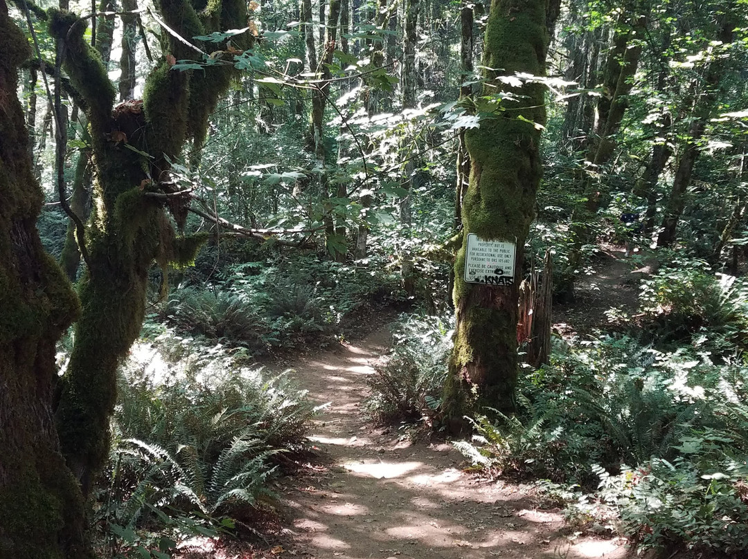 Abiqua Falls Trail-Scotts Mills必去景点