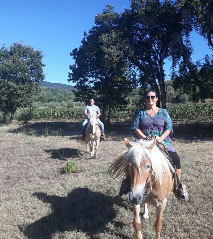 Toscana Ranch Asd景点图片