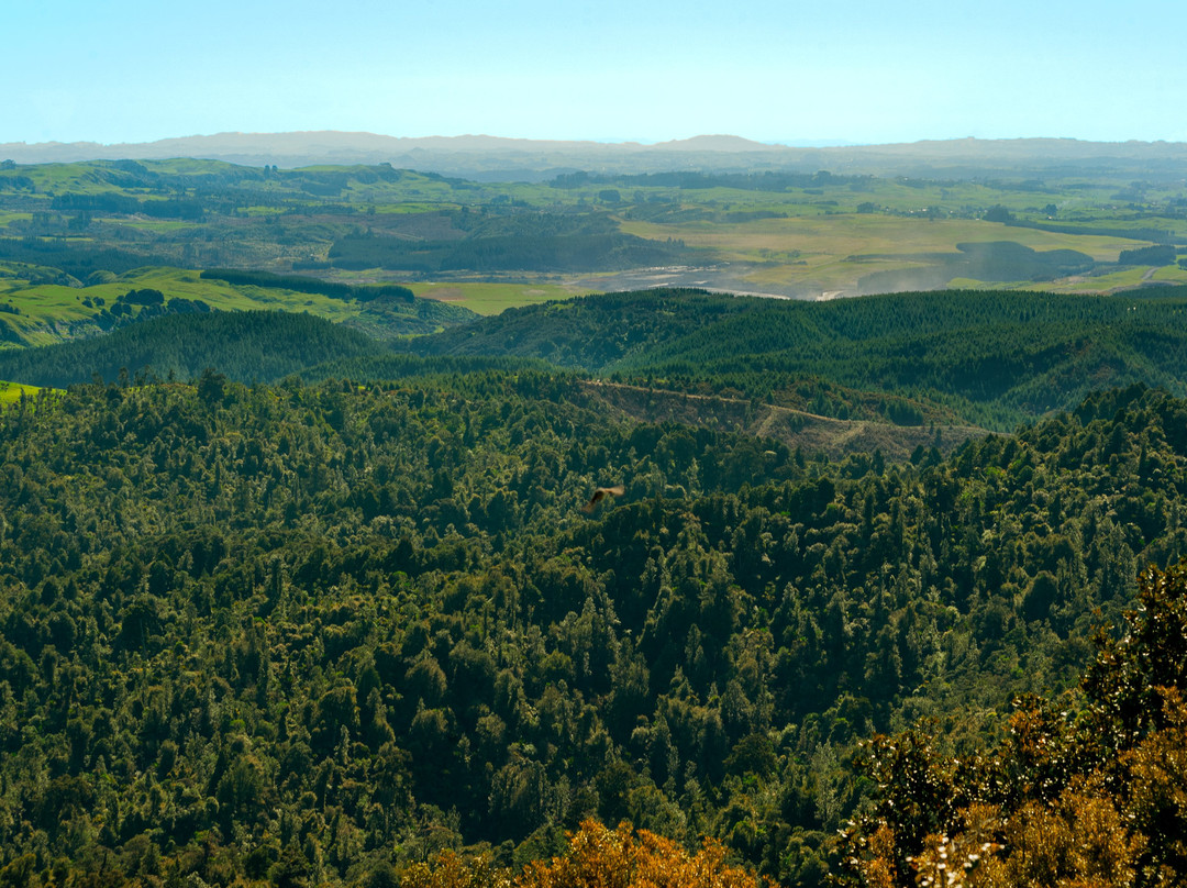 Hakarimata Scenic Reserve景点图片