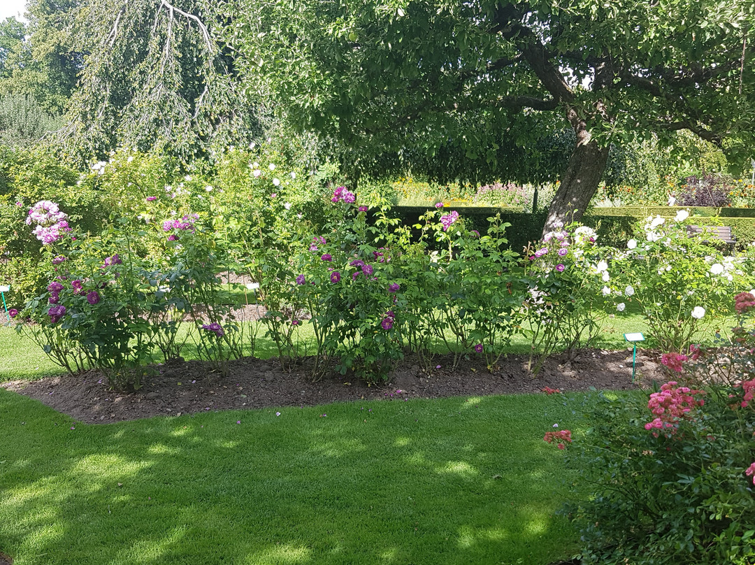 Stadsparken-厄勒布鲁必去景点