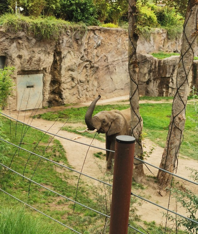 Opel Zoo-陶努斯山区克龙贝格必去景点