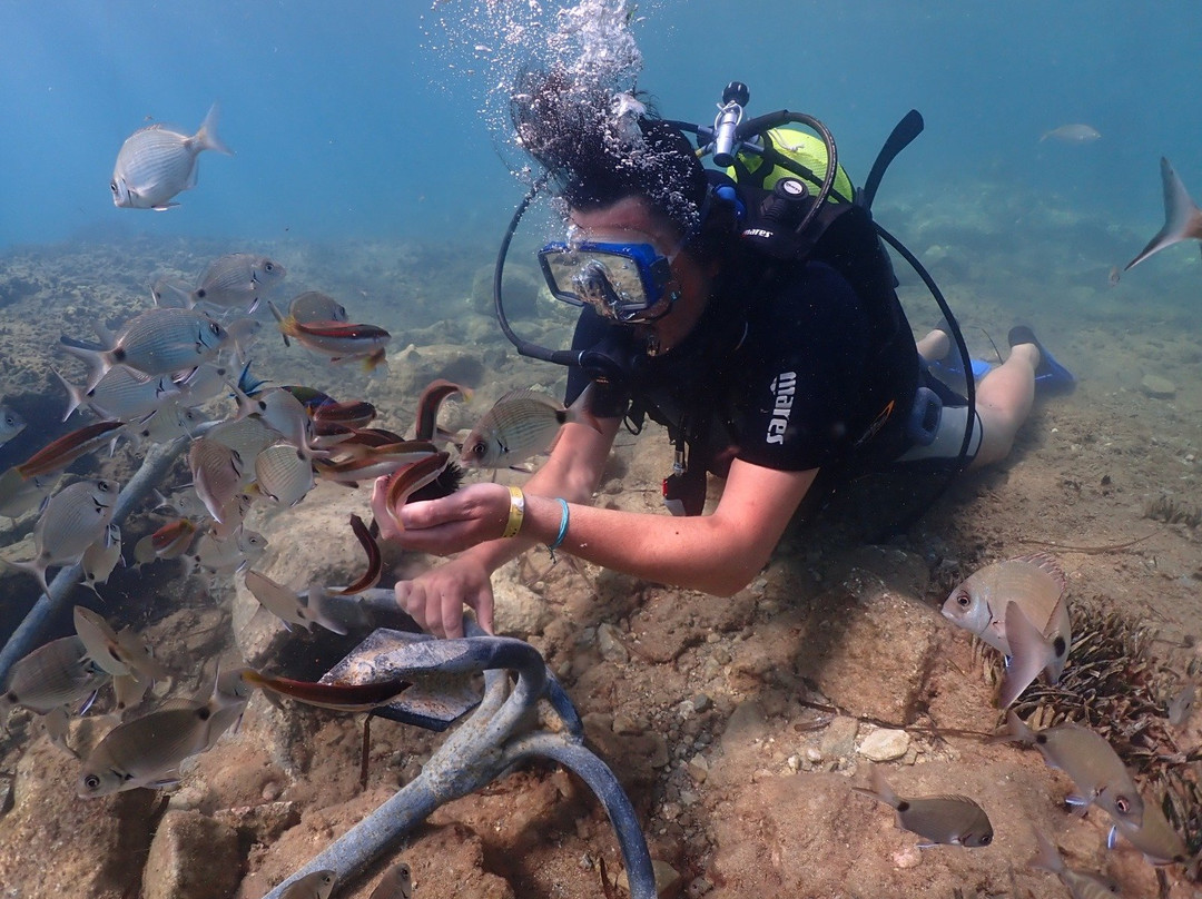 Kuşadası zeus dalış merkezi-库萨达斯必去景点